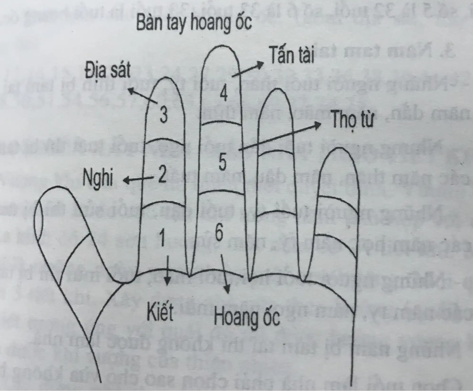 Xem phạm Tam Tai