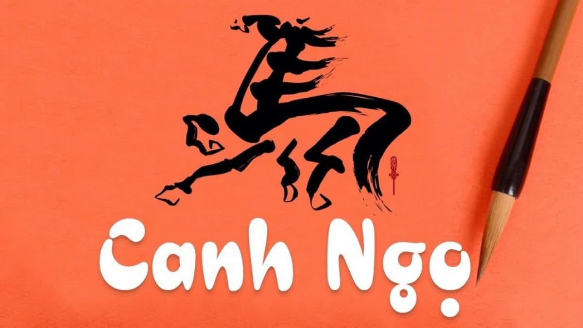 Thông tin cơ bản về nữ mạng Canh Ngọ 1990